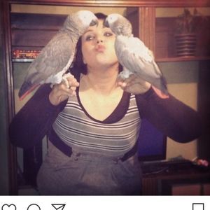 Meet your Posher, Heaven-lee